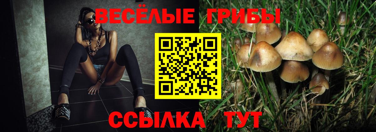 Галлюциногенные грибы GOLDEN TEACHER Семёнов